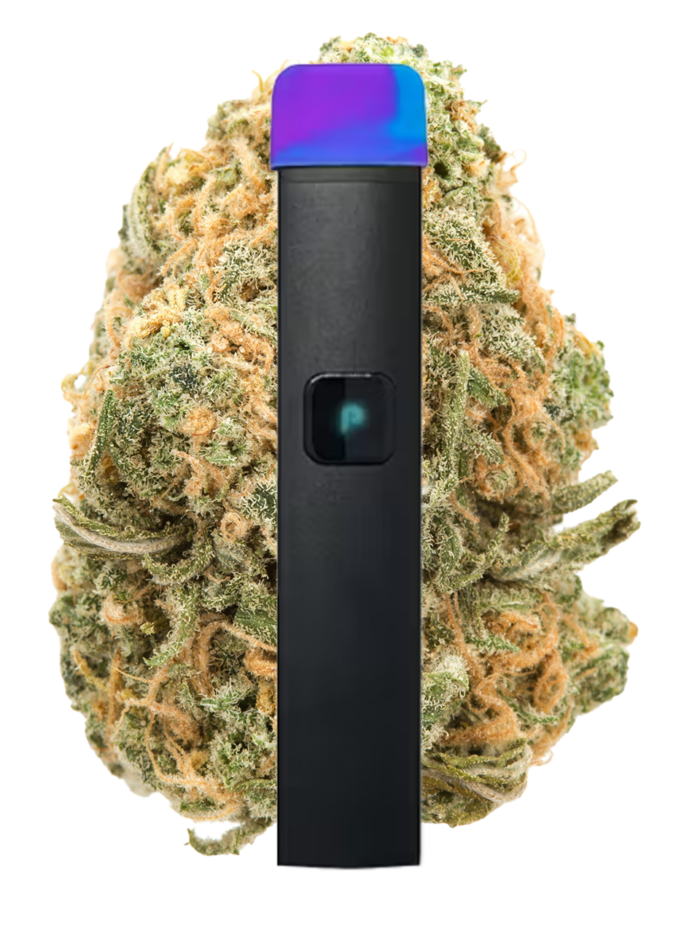 Plug N Play | Blue Dream | 1G Disposable Sanctioned