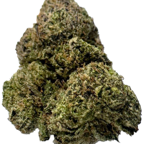 Sanctioned Exclusive | Firecracker Gelato Sanctioned