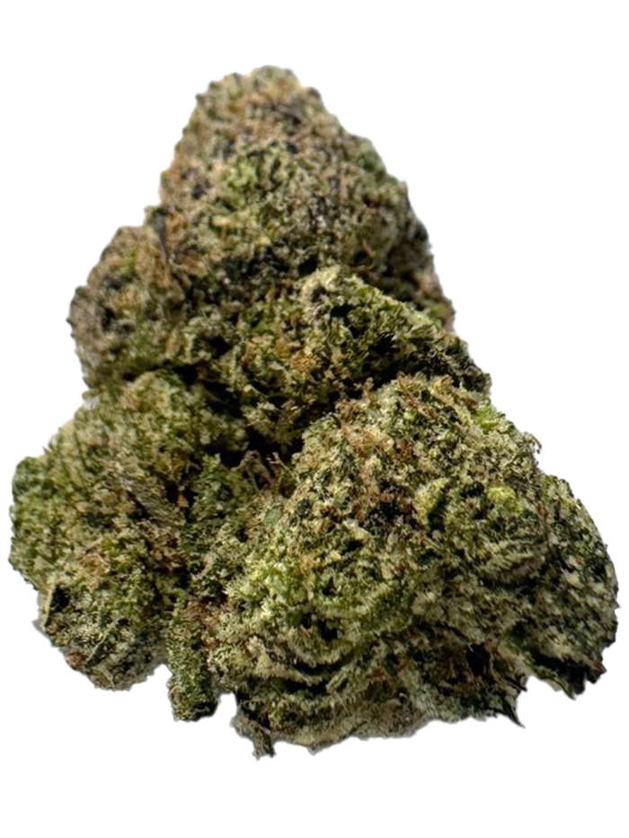 Sanctioned Exclusive | Firecracker Gelato Sanctioned