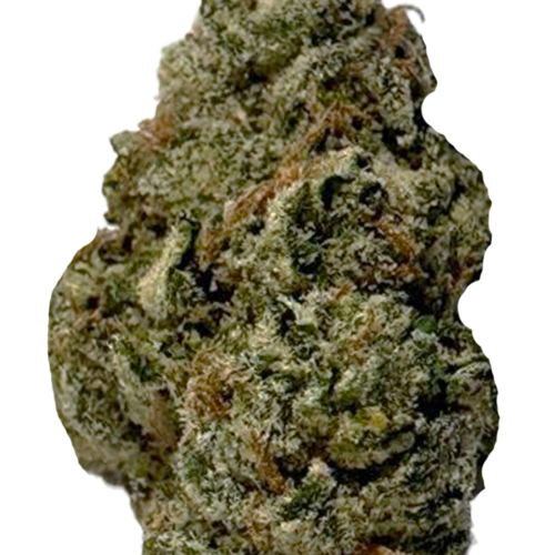Sanctioned Exclusive | Fruitopia Sanctioned