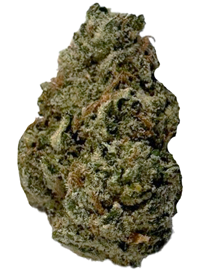 Sanctioned Exclusive | Fruitopia Sanctioned