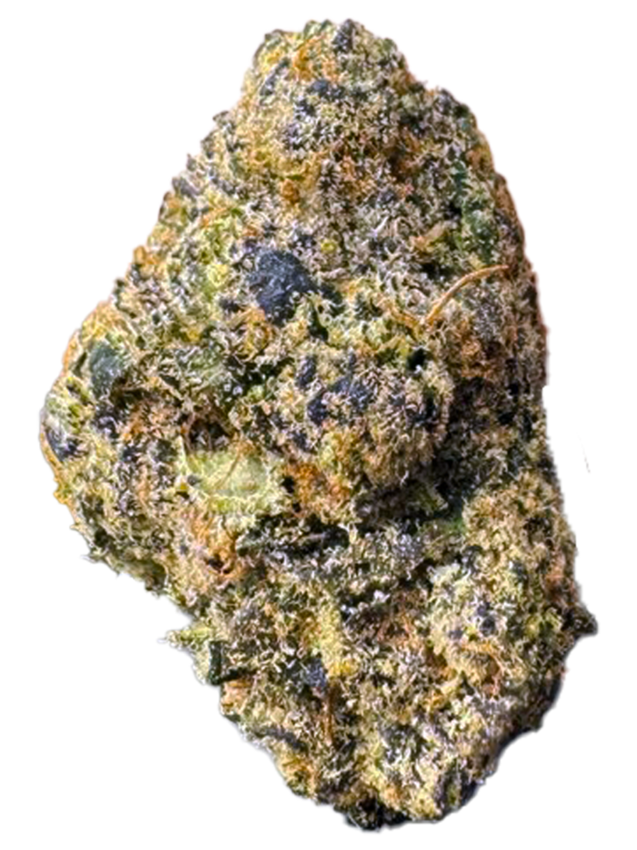 Sanctioned Exclusive | Glow Berry Sanctioned